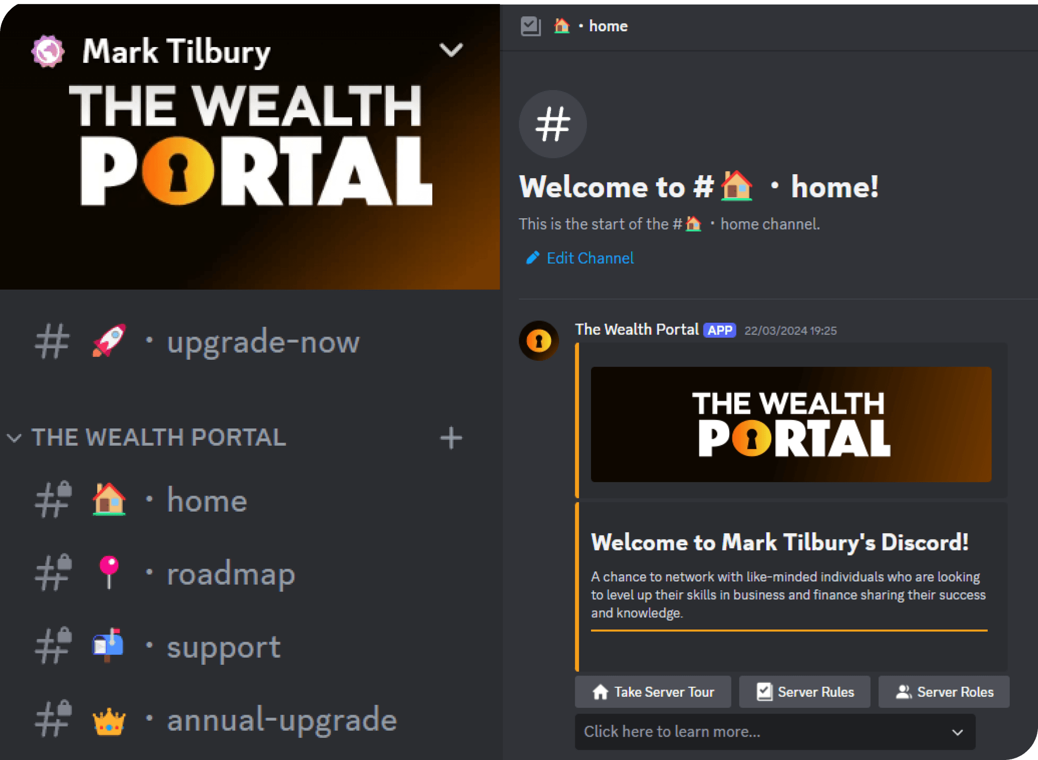 Professional Discord Setup